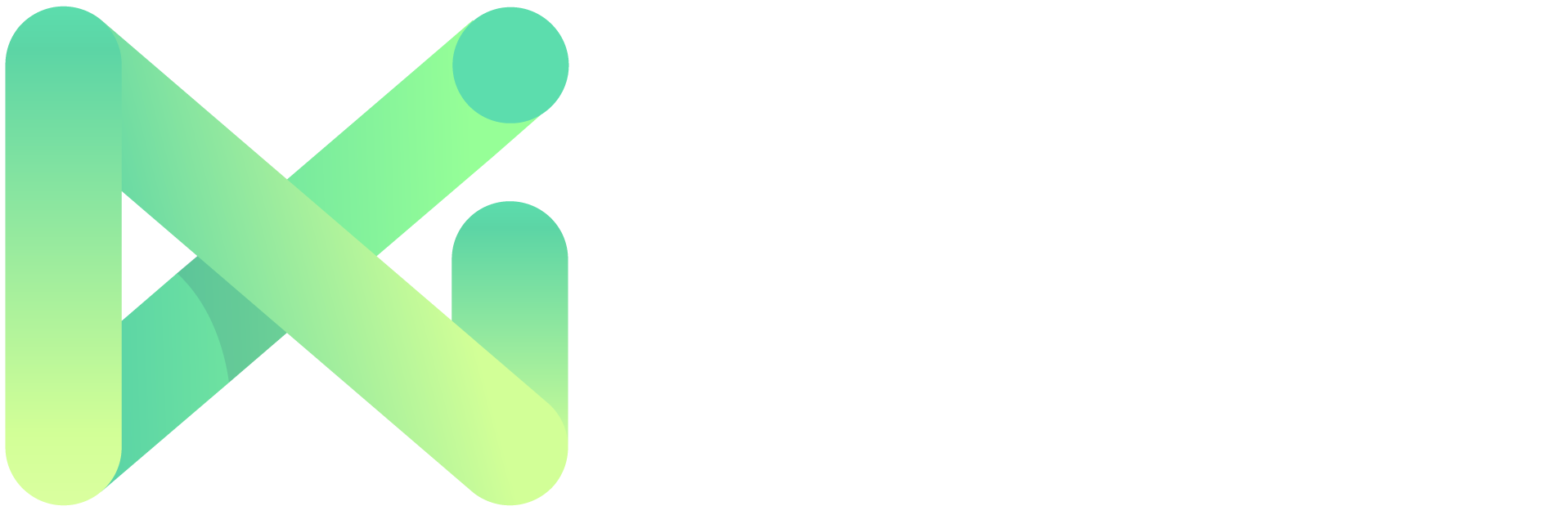 NMI Logo